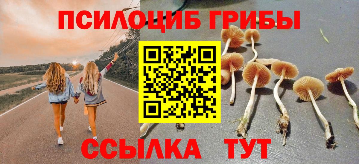 Псилоцибиновые грибы Psilocybine cubensis  Вход с VPN  Амурск 